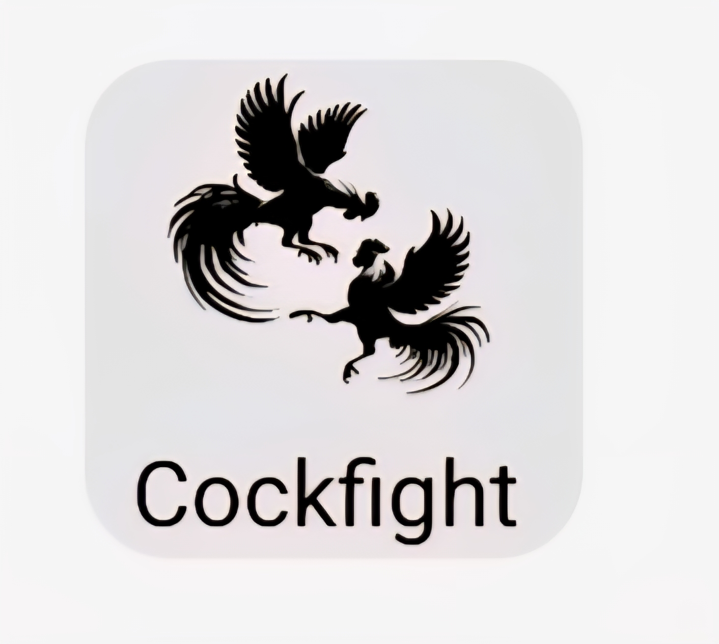 Cockfight